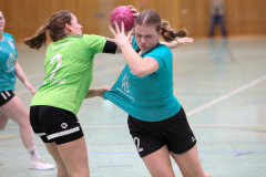 20260131-6J5A2012