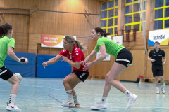 20240224-IMG_4542