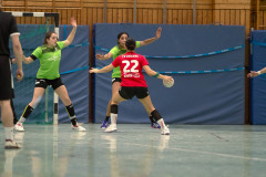 20240224-IMG_4687