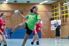 20240224-IMG_4699