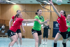 20240224-IMG_4733