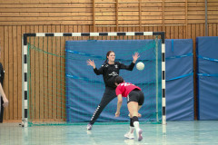 20240224-IMG_4750