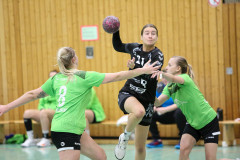 20251115-6J5A6293