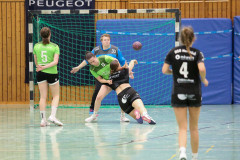 20251115-6J5A6419