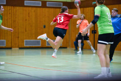 20260301-_FRE6020