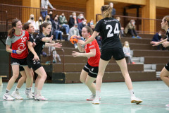 20220129-6J5A4905 20220129-6J5A4905