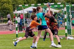20260604-IMG_6659