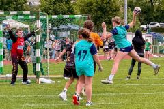 20260604-IMG_6661