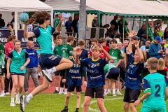 20260604-IMG_6665