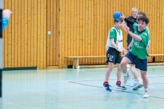 20260308-20260308_mB_TuS-05-Daun-HSG-Obere-Nahe-100