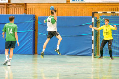 20260308-20260308_mB_TuS-05-Daun-HSG-Obere-Nahe-103