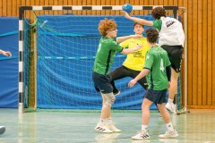 20260308-20260308_mB_TuS-05-Daun-HSG-Obere-Nahe-11