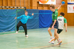 20260308-20260308_mB_TuS-05-Daun-HSG-Obere-Nahe-112