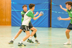 20260308-20260308_mB_TuS-05-Daun-HSG-Obere-Nahe-117