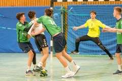 20260308-20260308_mB_TuS-05-Daun-HSG-Obere-Nahe-118