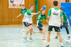 20260308-20260308_mB_TuS-05-Daun-HSG-Obere-Nahe-124