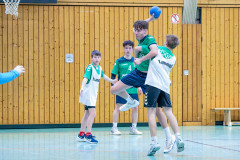 20260308-20260308_mB_TuS-05-Daun-HSG-Obere-Nahe-136