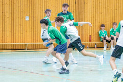 20260308-20260308_mB_TuS-05-Daun-HSG-Obere-Nahe-140