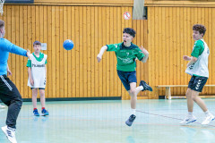 20260308-20260308_mB_TuS-05-Daun-HSG-Obere-Nahe-142