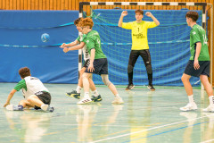 20260308-20260308_mB_TuS-05-Daun-HSG-Obere-Nahe-149