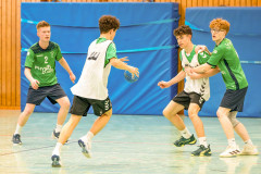 20260308-20260308_mB_TuS-05-Daun-HSG-Obere-Nahe-150