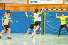 20260308-20260308_mB_TuS-05-Daun-HSG-Obere-Nahe-151