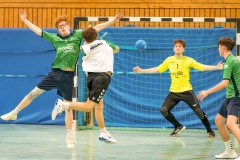 20260308-20260308_mB_TuS-05-Daun-HSG-Obere-Nahe-152