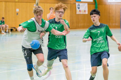 20260308-20260308_mB_TuS-05-Daun-HSG-Obere-Nahe-153