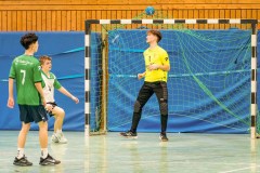 20260308-20260308_mB_TuS-05-Daun-HSG-Obere-Nahe-156