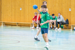 20260308-20260308_mB_TuS-05-Daun-HSG-Obere-Nahe-173