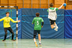 20260308-20260308_mB_TuS-05-Daun-HSG-Obere-Nahe-174