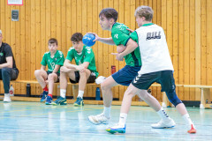 20260308-20260308_mB_TuS-05-Daun-HSG-Obere-Nahe-180