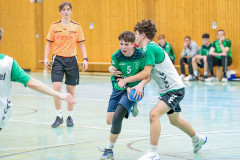 20260308-20260308_mB_TuS-05-Daun-HSG-Obere-Nahe-181