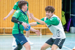 20260308-20260308_mB_TuS-05-Daun-HSG-Obere-Nahe-184