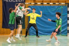 20260308-20260308_mB_TuS-05-Daun-HSG-Obere-Nahe-186