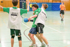 20260308-20260308_mB_TuS-05-Daun-HSG-Obere-Nahe-198