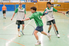 20260308-20260308_mB_TuS-05-Daun-HSG-Obere-Nahe-20