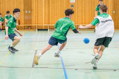 20260308-20260308_mB_TuS-05-Daun-HSG-Obere-Nahe-208