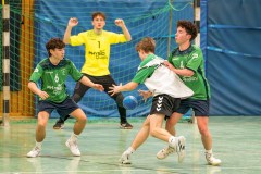 20260308-20260308_mB_TuS-05-Daun-HSG-Obere-Nahe-209