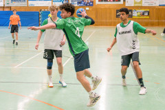 20260308-20260308_mB_TuS-05-Daun-HSG-Obere-Nahe-21