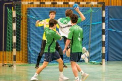 20260308-20260308_mB_TuS-05-Daun-HSG-Obere-Nahe-210