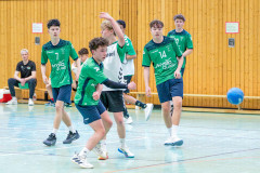 20260308-20260308_mB_TuS-05-Daun-HSG-Obere-Nahe-215