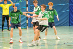 20260308-20260308_mB_TuS-05-Daun-HSG-Obere-Nahe-216