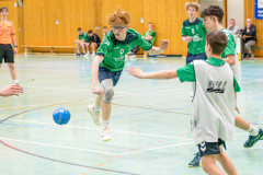 20260308-20260308_mB_TuS-05-Daun-HSG-Obere-Nahe-217