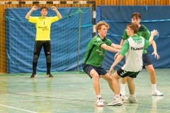 20260308-20260308_mB_TuS-05-Daun-HSG-Obere-Nahe-224