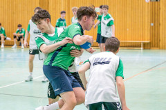 20260308-20260308_mB_TuS-05-Daun-HSG-Obere-Nahe-226