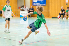 20260308-20260308_mB_TuS-05-Daun-HSG-Obere-Nahe-227