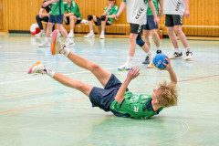 20260308-20260308_mB_TuS-05-Daun-HSG-Obere-Nahe-228