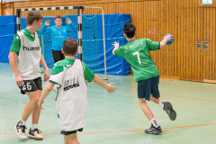 20260308-20260308_mB_TuS-05-Daun-HSG-Obere-Nahe-230