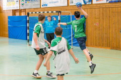 20260308-20260308_mB_TuS-05-Daun-HSG-Obere-Nahe-231